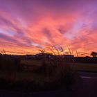 Dawn at Spanish Point