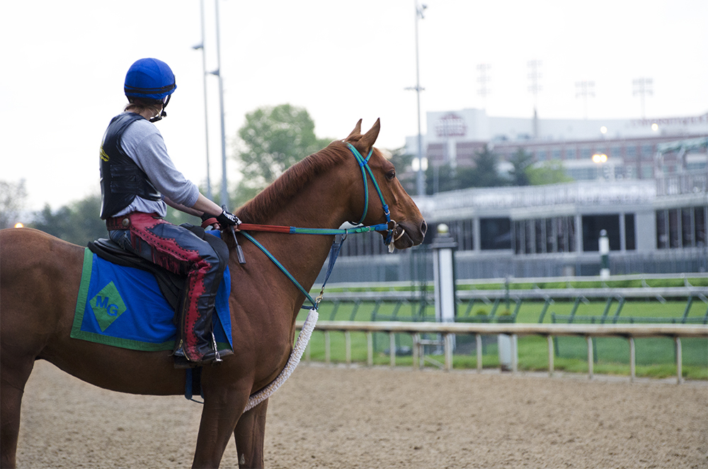 Dawn at the Downs 1