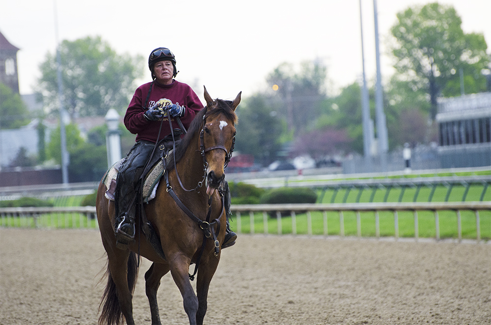 Dawn at the Downs 4