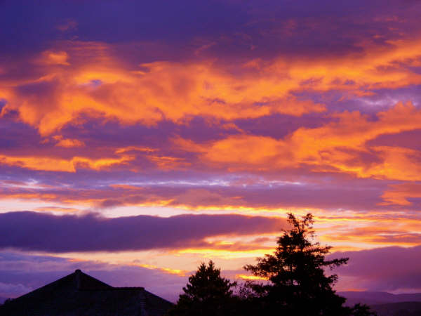 Dawn From My Backdoor