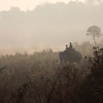 Dawn in Chitwan National Park