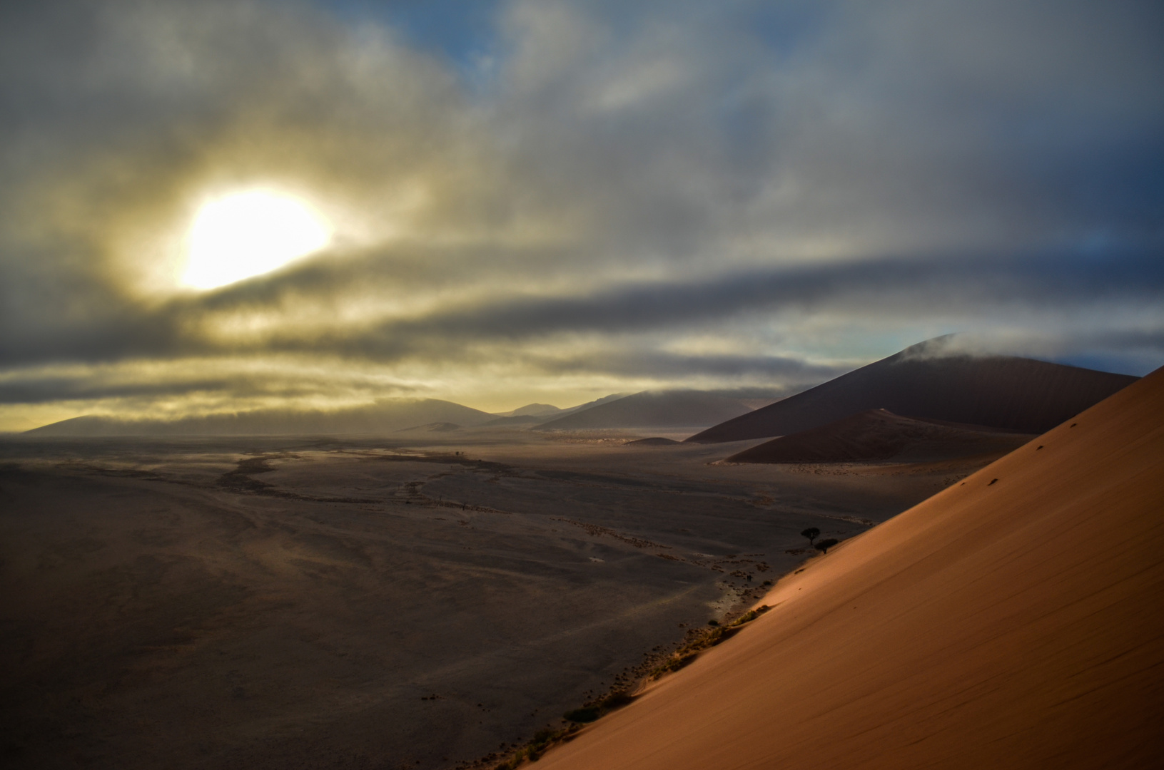 dawn in the desert