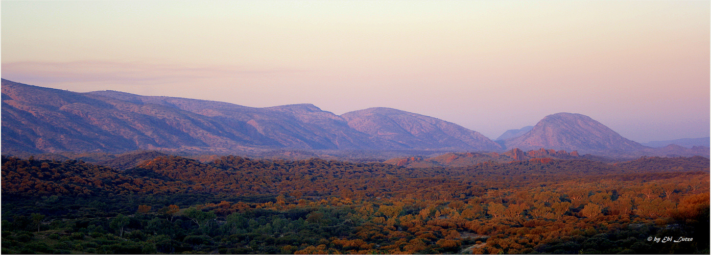 *** Dawn over Mac Donnell Ranges