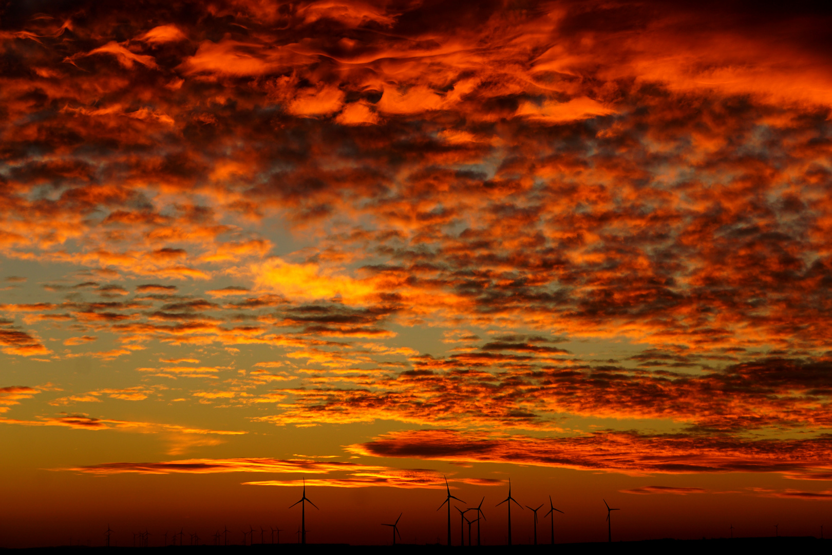 ...Dawn über Rheinhessen...Nov '18