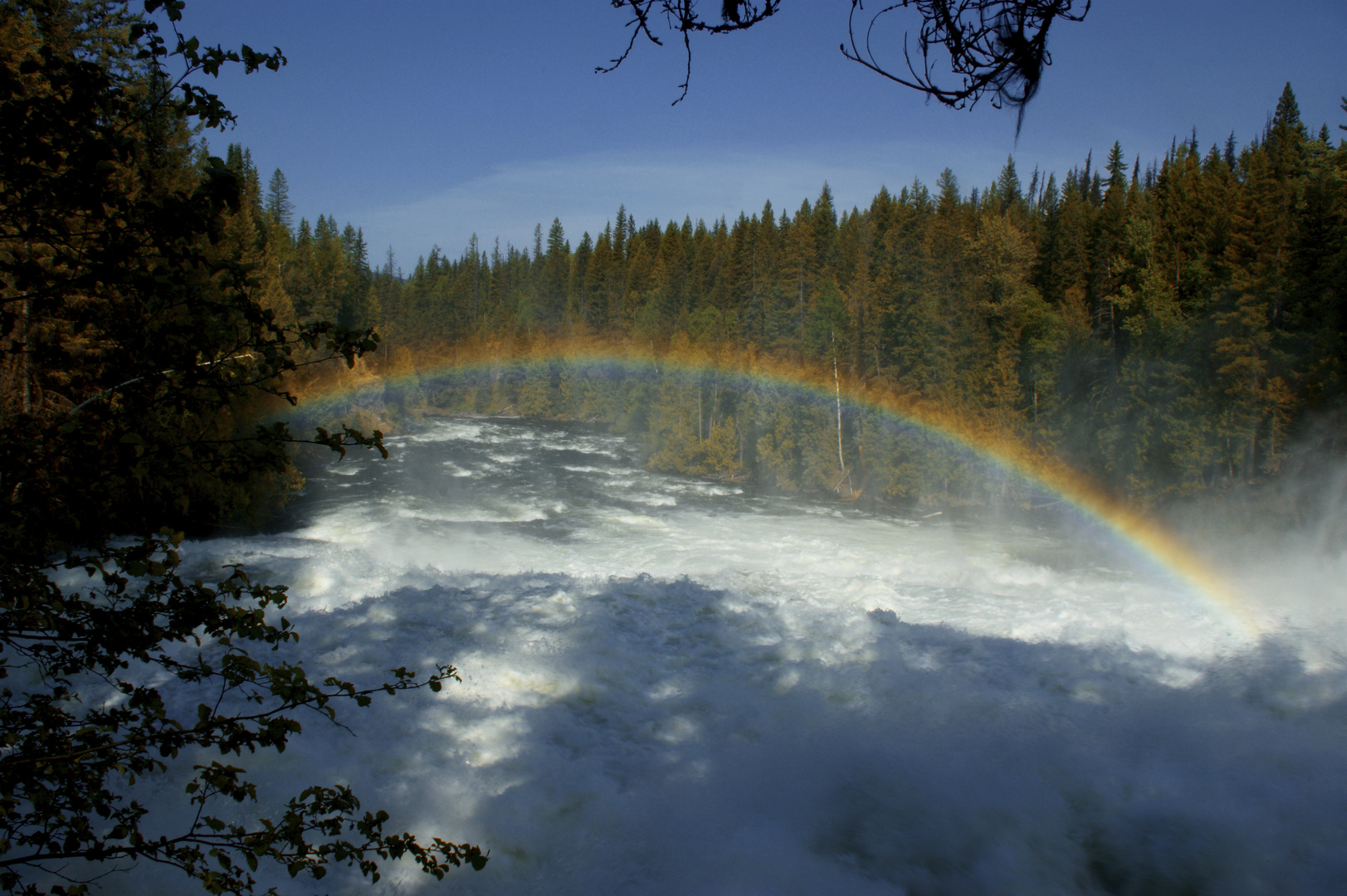 Dawson Falls ...