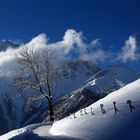 Daxspitze im Pfitschtal (Südtirol)