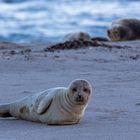 Day at the Beach