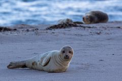 Day at the Beach