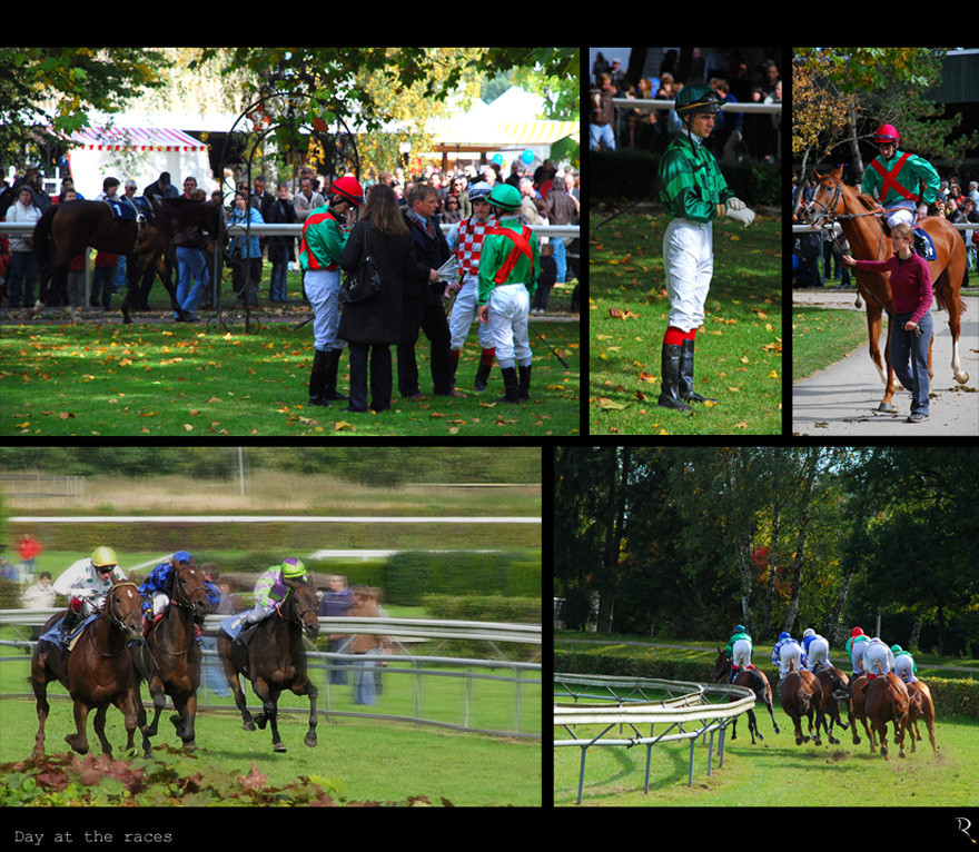 Day at the races