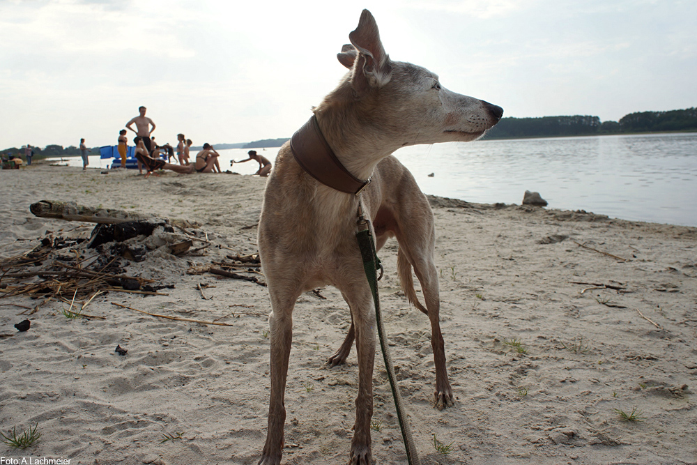 Day @ the Beach