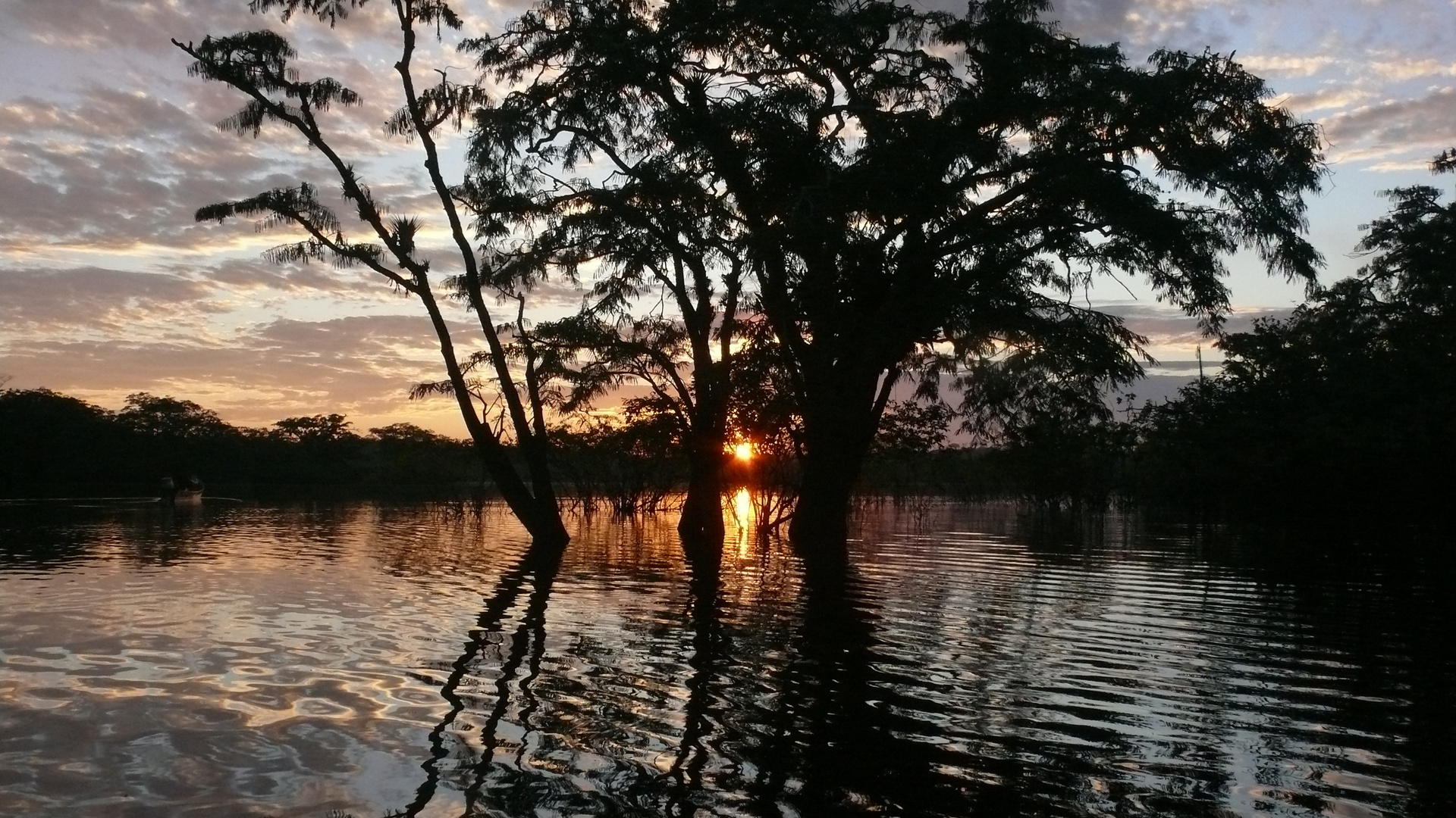 Daybreak at Rain Forest Lagoon