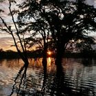 Daybreak at Rain Forest Lagoon