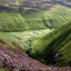 Daydreaming of Scotland IV: Down in the Glen