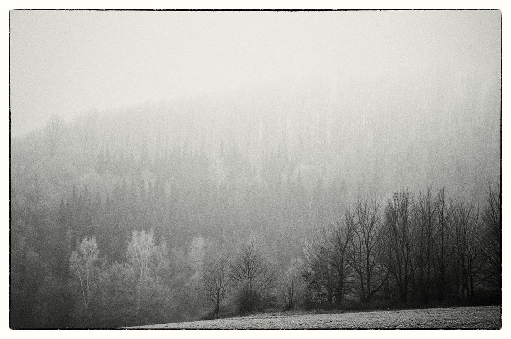 Days of Grey #1