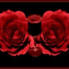 DAYS OF WINE AND ROSES. 