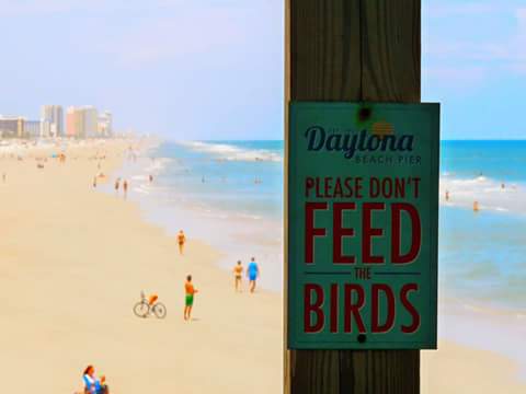 Daytona Beach Florida 