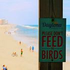 Daytona Beach Florida 