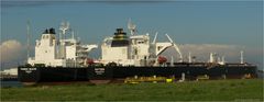 DAYTONA + PHOENIX BEACON. Crude oil tanker / Calandcanal / Rotterdam / 23.10.2013