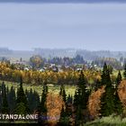 DayZ Standalone Wallpaper_2015_Khelm