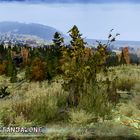 DayZ Standalone Wallpaper_2015_Krasnostav