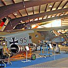 Dazumal- Dornier DO 28 D Skyservant