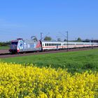 DB 101 144 "Hertha BSC"