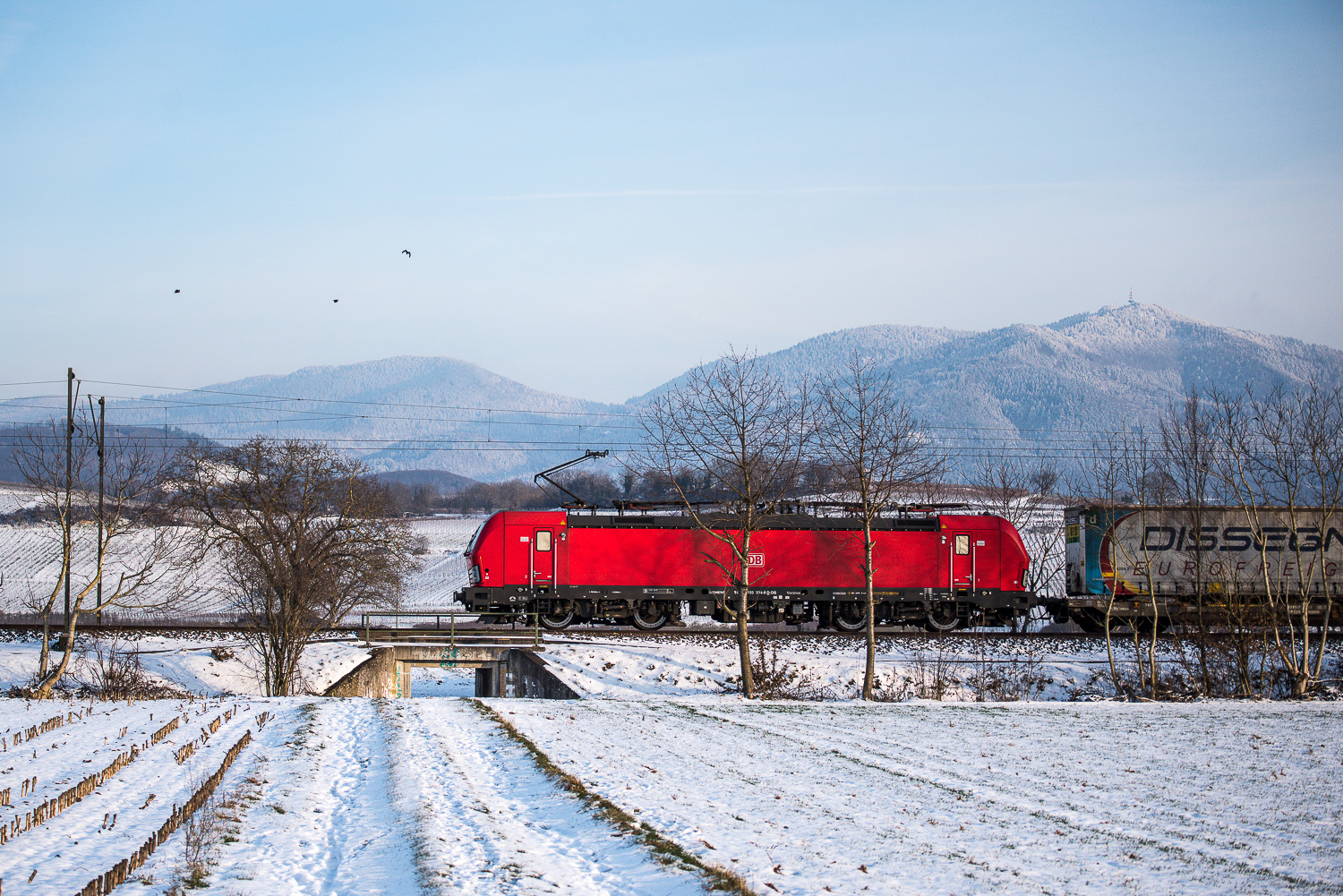 DB Cargo AG 193 unterwegs im Oberrheintal