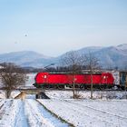 DB Cargo AG 193 unterwegs im Oberrheintal