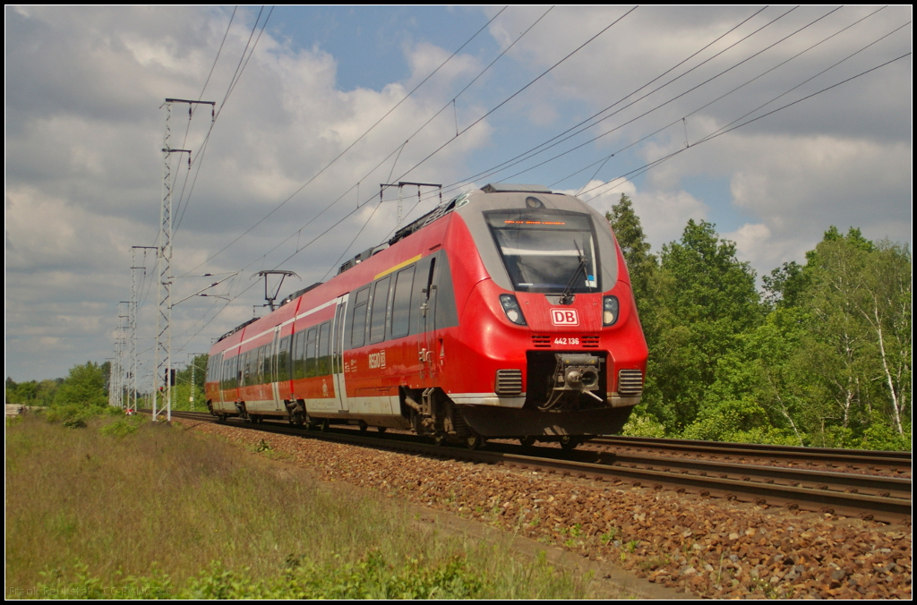 DB Regio 442 136