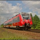 DB Regio 442 136