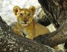 Lake Manyara National Park