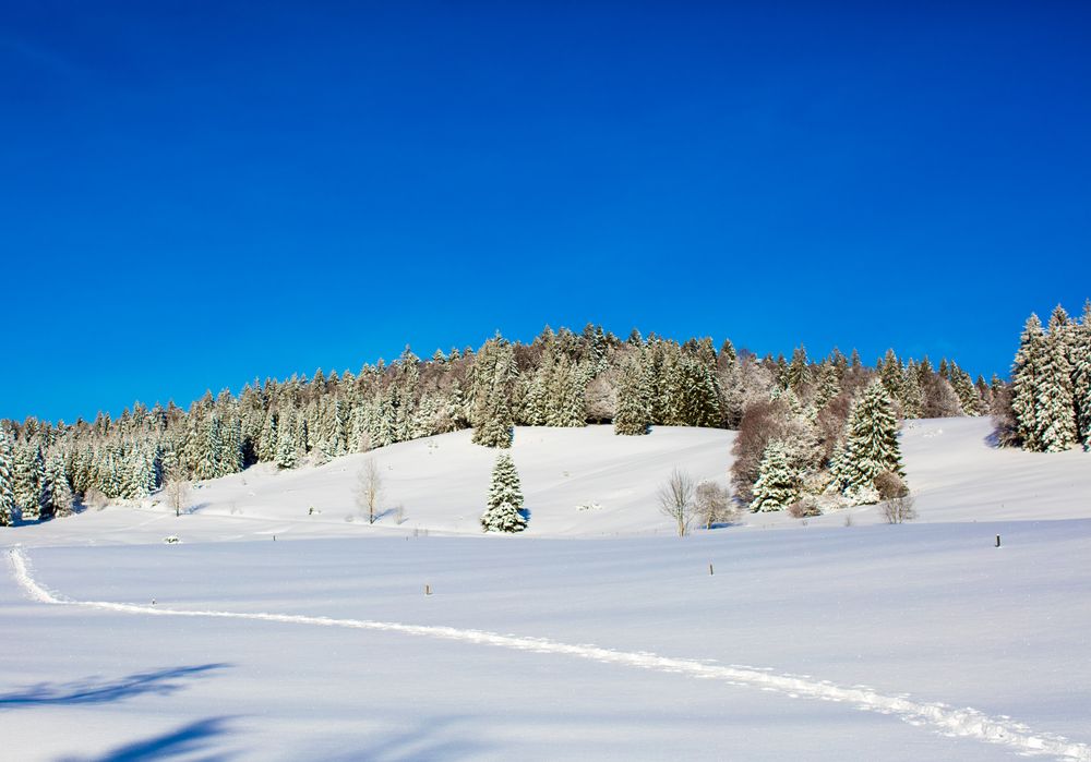 Todtmoos im Schwarzwaldzwald von messer jocke