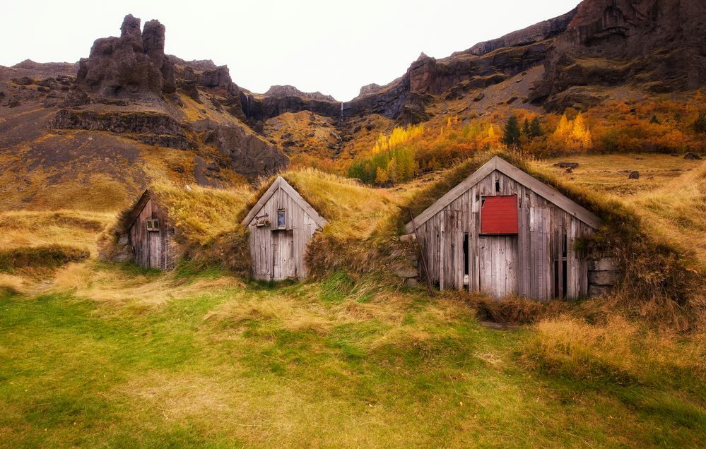 Granja Islandia de alpigo