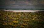 Beachwalk 3 by Brigitte Lucke 