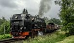 Harzer Schmalspurbahn von bayerlein ute