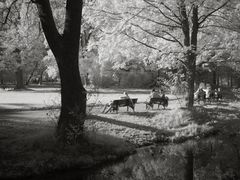 D&C im Englischen Garten