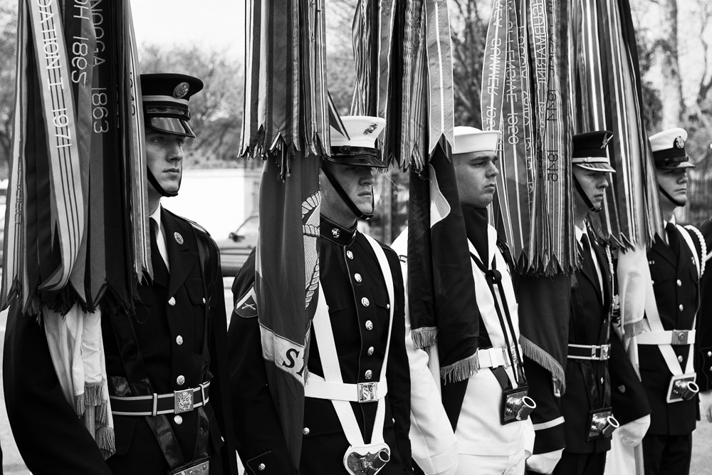 DC monochrom - Cherry Blossom Parade