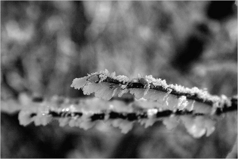 Winterzauber von Einfach IchSelbst 