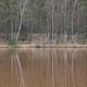 Wasserspiegelung bei Schwindebeck