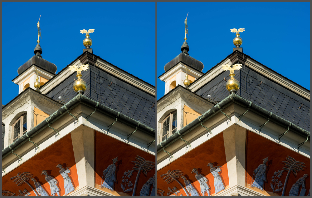 DD-Pillnitz-Dach-Bergpalais-3D-1706