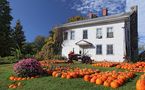 Pumpkin Time von Julia Wylenzek