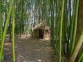 Bambus by Werner Kast
