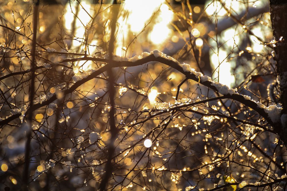 Winterliche Facette von Christian Bö. 