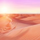 DDD - “Dubai Desert Dreams”