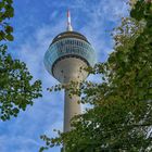 D'dorf 17. Oktober - Rheinturm