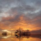 De Aussicht vom Balkon .... der Niederrhein