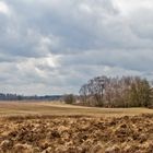 De Bergerheide - Niederlande