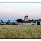 De bon matí al camp II - Early morning on the field II