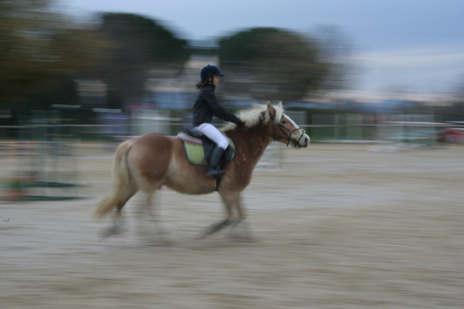 de bon matin et déjà au galop .