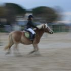 de bon matin et déjà au galop .